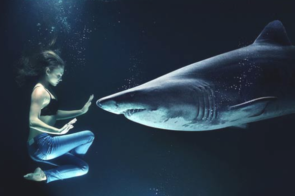 девушка и акула