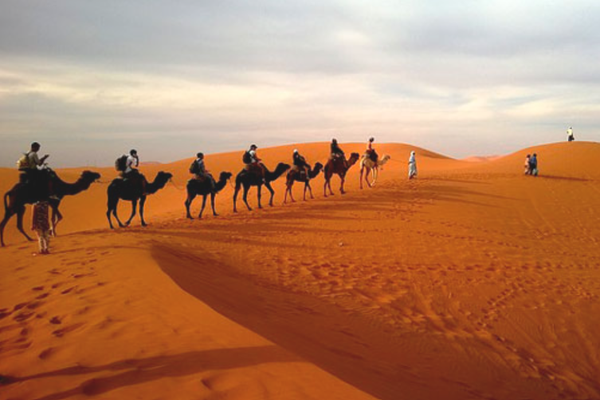 верблюжий караван в пустыне