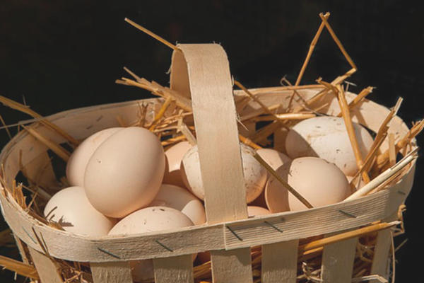 яйца в корзинке сонник