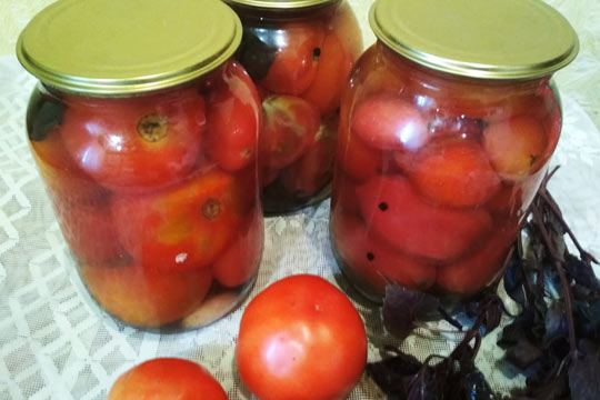 помидоры с базиликом без стерилизации