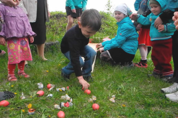 мальчик собирает яйца