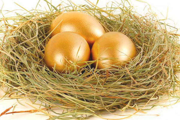 золотые яйца в гнезде